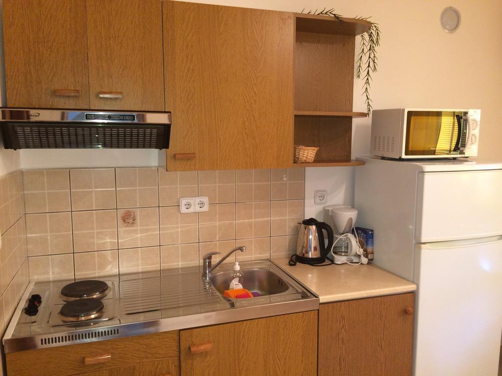 Apartment Kolundzic 诺维·维诺多尔斯基 客房 照片
